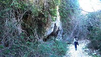 Lierre du vallon de Roque Rousse