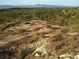 Sol après un brûlage dirigé