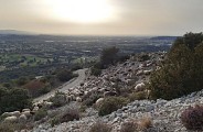 Troupeau sur le Petit Luberon