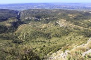 Crau des Mayorques