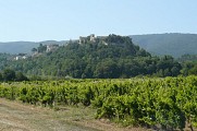 Ménerbes depuis la plaine