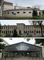 L'école Vétérinaire 
