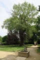 Le square Henri François