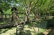 La plage de Maisons-Alfort