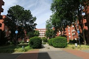 Le square Dufourmantelle 