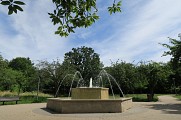 Le parc de l'Alsacienne