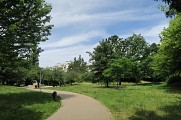 Le parc de l'Alsacienne