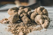 Truffes noires