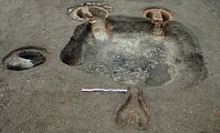 Oppidum de Gondole au Cendre | Pays d'Art et d'Histoire