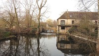 Les étangs de Saint-Georges