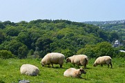 Echovallée