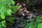 Echovallée