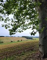 Bastide de Bassoues