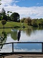 Lac de Mirande