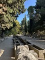 La nécropole des Alyscamps et l'église Saint Honorat