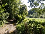 Le Vert Buisson