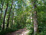 Le Bois Hébert