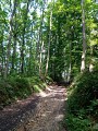 Chemin