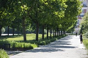 Les berges