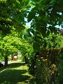 Village Fleuri de Blaziert