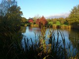 Les Jardins de Coursiana