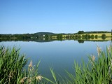 point de vue sur étang de la cazine POI