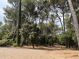 Arboretum de Pierrefeu du Var