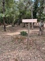 Arboretum de Pierrefeu du Var
