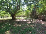 Parc Terre Rousse