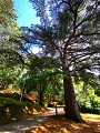 Parc Saint Roch