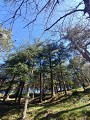 Parc Saint Roch