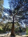 Parc Saint Roch
