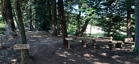 Arboretum Georges Martel