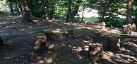 Arboretum Georges Martel