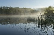 Espace Naturel Sensible Etang de Bas et Falaises de Ravières