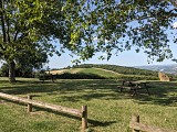 Marcy-sur-Anse - Traverse des Pierres Dorées n°2