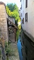 Les Mauves 3