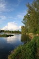 Les bords de Loire à Mareau aux Prés