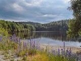Le lac du Taurons