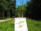 Étang de Cessy Tutegny : espace multi-loisirs