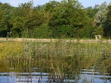 Espace Naturel Sensible de l'étang de Chalignieu