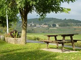 Moras