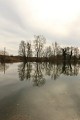 Espace Naturel Sensible de Bouvesse-Quirieu – Site des étangs Cotte