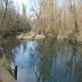 Drusenheim
