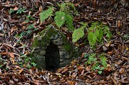 courbefy-et-bonnes-fontaines©Hélène_Badoinot (21)
