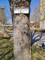 Début modif (Av. Libération)