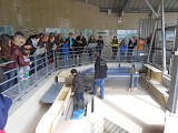 Halage et bocage à Pont-Hébert