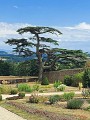 Les Jardins de Brogieux