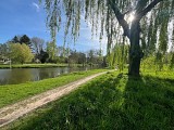 Parc de la Taffarette