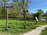 Parc de la Taffarette
